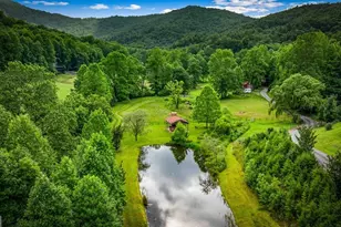 225 Cohutta Ranch Rd, Blue Ridge, GA 30513 - Photo 16