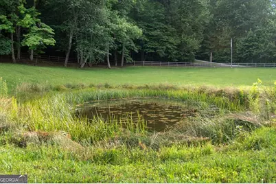 225 Cohutta Ranch Road, Blue Ridge, GA 30513 - Photo 68