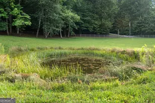 225 Cohutta Ranch Rd, Blue Ridge, GA 30513 - Photo 68