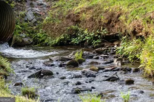 225 Cohutta Ranch Rd, Blue Ridge, GA 30513 - Photo 70