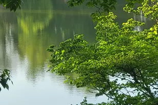 45 Surrey Chase Dr, Social Circle, GA 30025 - Photo 8