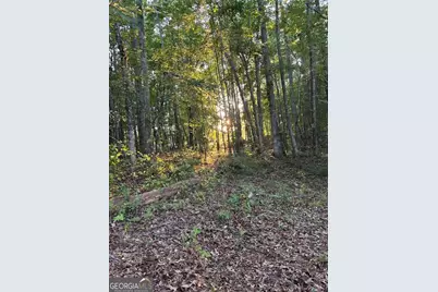 4091 Hollonville Road, Williamson, GA 30292 - Photo 8