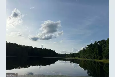 4091 Hollonville Road, Williamson, GA 30292 - Photo 18