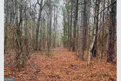 1017 Queens Bridge Way, Griffin, GA 30223 - Photo 6