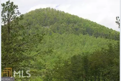 0 River Birch Lane #LOT 32, Tiger, GA 30576 - Photo 6