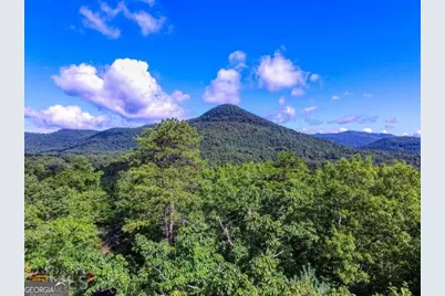 0 River Birch Lane #LOT 32, Tiger, GA 30576 - Photo 8