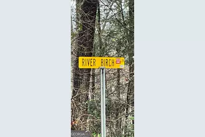 0 River Birch Lane #LOT 32, Tiger, GA 30576 - Photo 2