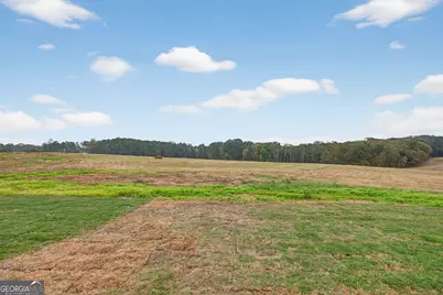 417 Gray Road, Roopville, GA 30170 - Photo 50