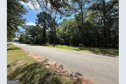 0 Fairway Lane, Hawkinsville, GA 31036 - Photo 2