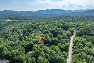 1133 Garrett Cir, Blairsville, GA 30512 - Photo 56