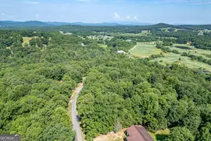 1133 Garrett Cir, Blairsville, GA 30512 - Photo 58