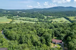 1133 Garrett Cir, Blairsville, GA 30512 - Photo 50