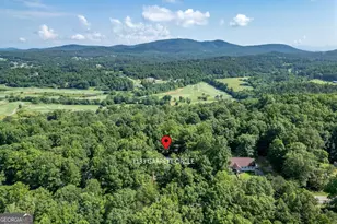 1133 Garrett Cir, Blairsville, GA 30512 - Photo 52