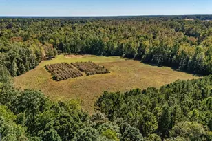 230 Haynes Rd, Moreland, GA 30259 - Photo 76