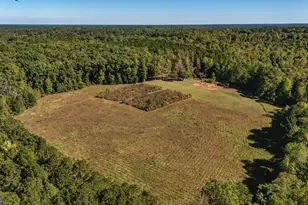 230 Haynes Rd, Moreland, GA 30259 - Photo 78