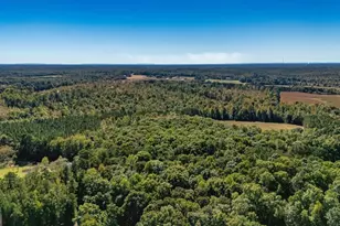 230 Haynes Rd, Moreland, GA 30259 - Photo 68