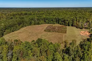 230 Haynes Rd, Moreland, GA 30259 - Photo 80