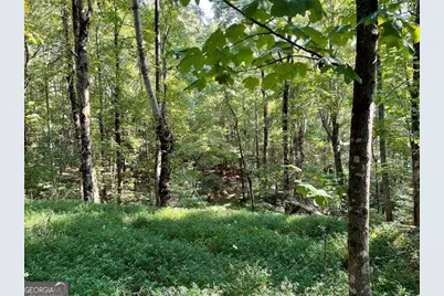 76 Tally Cove Road, Jasper, GA 30143 - Photo 10