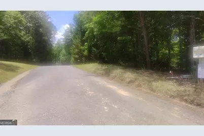 Lot 10 Hawks Nest Road #10, Blairsville, GA 30512 - Photo 22