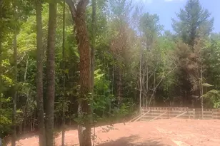 Lot 10 Hawks Nest Rd, Blairsville, GA 30512 - Photo 32