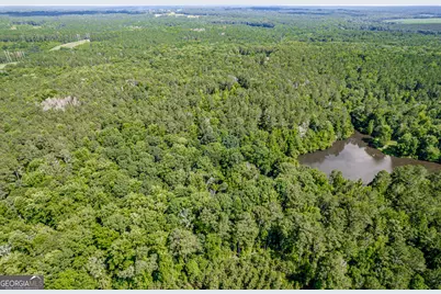 1041 River Farm Way, Madison, GA 30650 - Photo 62