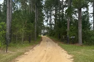 1302 Jim Sapp Rd, Claxton, GA 30417 - Photo 22