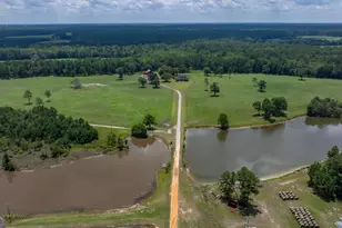 1302 Jim Sapp Rd, Claxton, GA 30417 - Photo 12