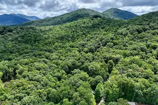 1411 Bradley Rd, Blairsville, GA 30512 - Photo 46