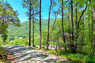 967 Saddle Gap Dr, Clayton, GA 30525 - Photo 56