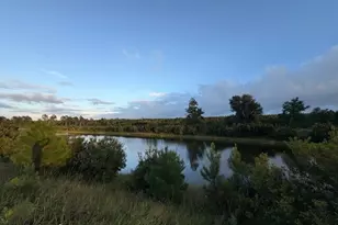 221 Park View Ln, Kingsland, GA 31548 - Photo 42