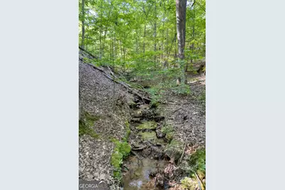 90 Cardinal Cove, Big Canoe, GA 30143 - Photo 8