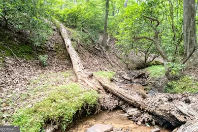 90 Cardinal Cove, Big Canoe, GA 30143 - Photo 4