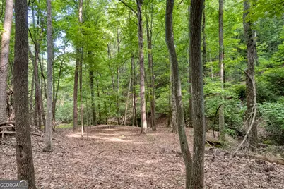 90 Cardinal Cove, Big Canoe, GA 30143 - Photo 2