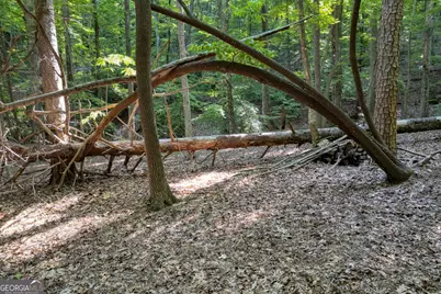 90 Cardinal Cove, Big Canoe, GA 30143 - Photo 6