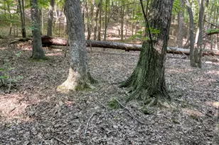 90 Cardinal Cove, Big Canoe, GA 30143 - Photo 1