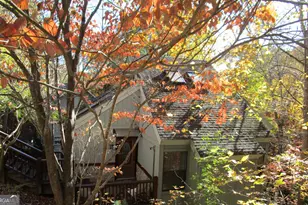 17 Dach Bruecke Gasse, Helen, GA 30545 - Photo 2