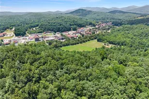 17 Dach Bruecke Gasse, Helen, GA 30545 - Photo 62