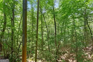 17 Dach Bruecke Gasse, Helen, GA 30545 - Photo 38