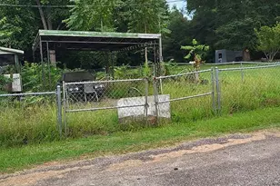 204 Jordan St, Oglethorpe, GA 31068 - Photo 4