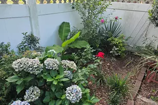 357 Winthrop Ln, McDonough, GA 30253 - Photo 54