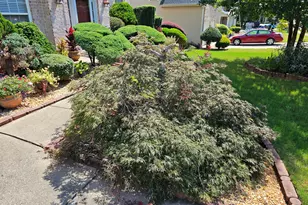 357 Winthrop Ln, McDonough, GA 30253 - Photo 66