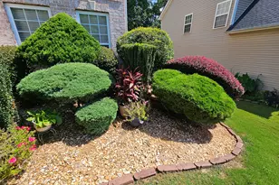 357 Winthrop Ln, McDonough, GA 30253 - Photo 70