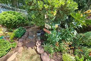 357 Winthrop Ln, McDonough, GA 30253 - Photo 46