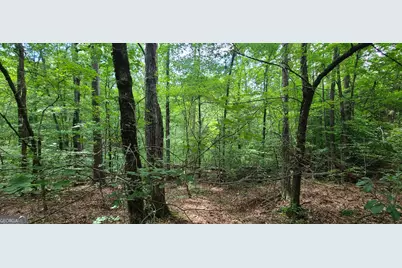 261 Retreat Trail, Lagrange, GA 30240 - Photo 4