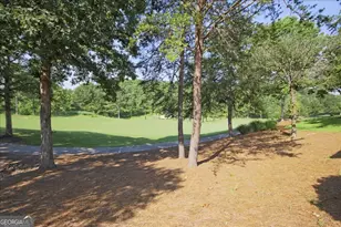 109 Coneflower Ln, Toccoa, GA 30577 - Photo 36