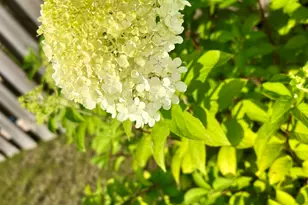 319 Bordeaux Dr, Thomson, GA 30824 - Photo 28