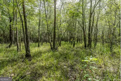 519 Wiltsie Way, Waynesville, GA 31566 - Photo 28