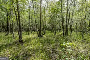 519 Wiltsie Way, Waynesville, GA 31566 - Photo 28