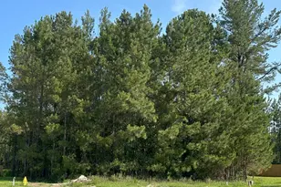 208 Starboard Ct, Kingsland, GA 31548 - Photo 1