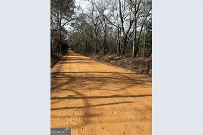 0 George Moore Road, Statesboro, GA 30461 - Photo 2